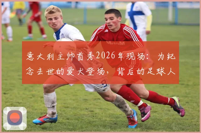 意大利主帅首秀2026年现场：为纪念去世的爱犬登场，背后的足球人情味解读