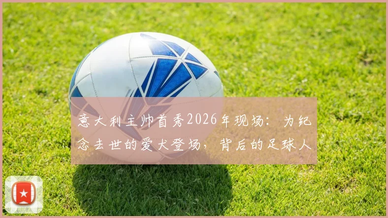 意大利主帅首秀2026年现场:为纪念去世的爱犬登场,背后的足球人情味解读