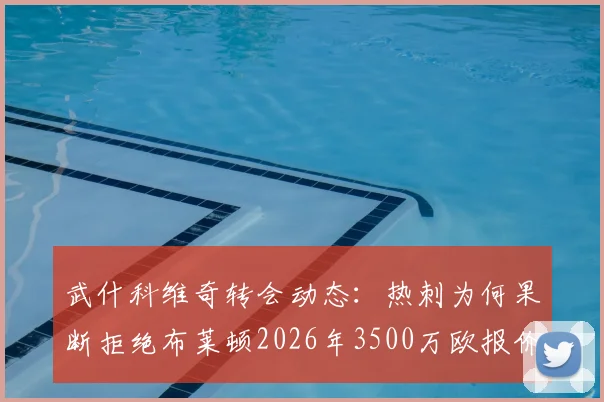 武什科维奇转会动态:热刺为何果断拒绝布莱顿2026年3500万欧报价?详解这名年轻后卫的实力与前景